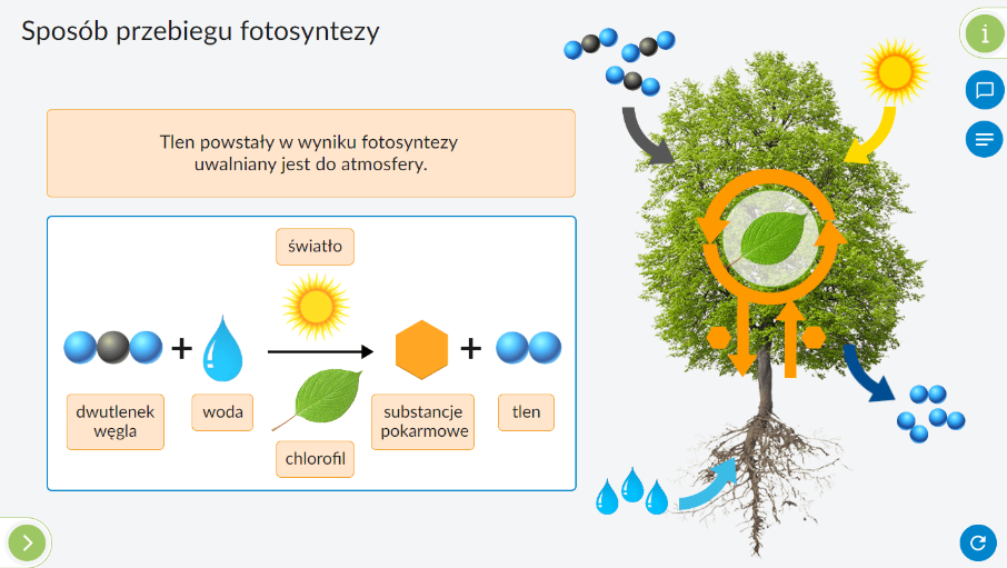 Nagrody Zmieć Śmieć