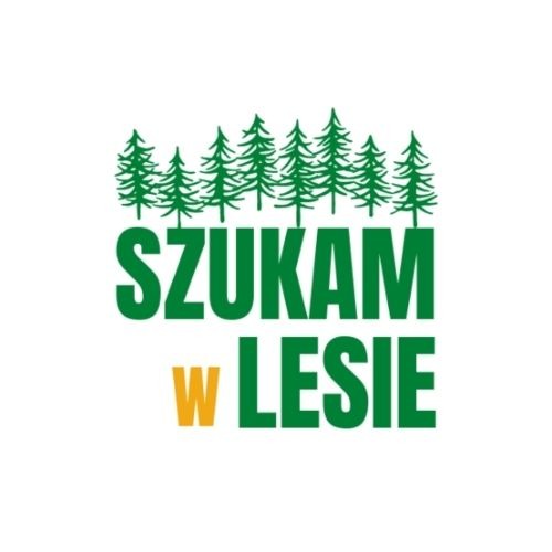 Szukam w Lesie